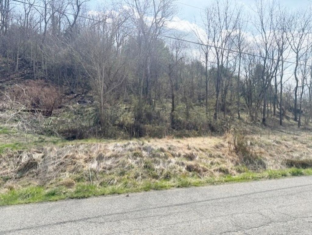 Photo of TBD Ramsey Mountain Rd #14, Max Meadows, VA 24360 (MLS # 109233)
