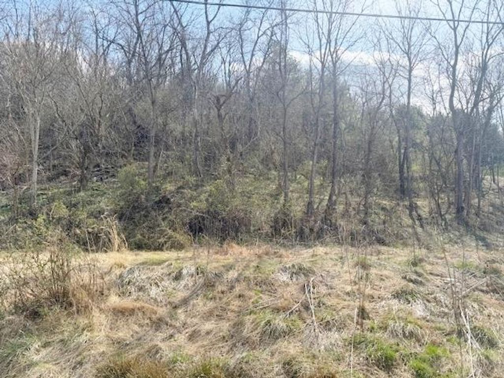 Photo of TBD Ramsey Mountain Rd #14, Max Meadows, VA 24360 (MLS # 109233)