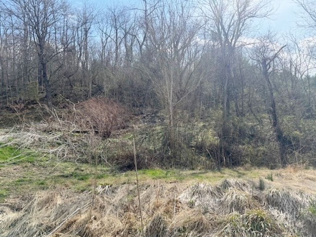 Photo of TBD Ramsey Mountain Rd #14, Max Meadows, VA 24360 (MLS # 109233)