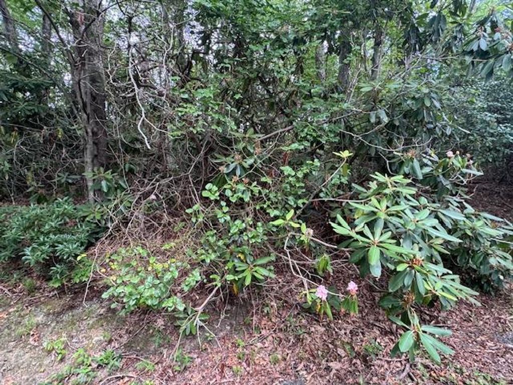 Photo of TBD Dogwood Trail #15, Hillsville, VA 24343 (MLS # 100633)