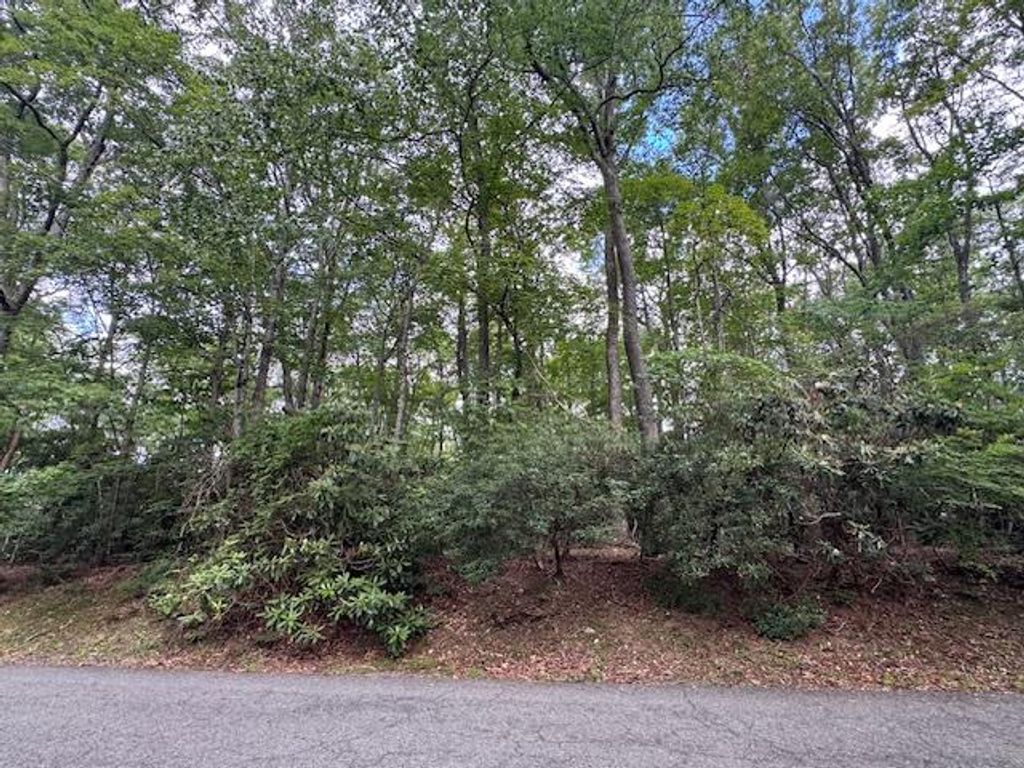 Photo of TBD Dogwood Trail #15, Hillsville, VA 24343 (MLS # 100633)