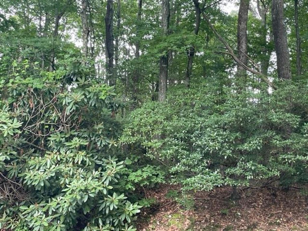 Photo of TBD Dogwood Trail #15, Hillsville, VA 24343 (MLS # 100633)