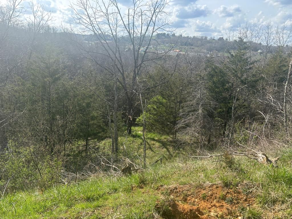 Photo of TBD Point Drive #41G, 42, Pounding Mill, VA 24637 (MLS # 109609)