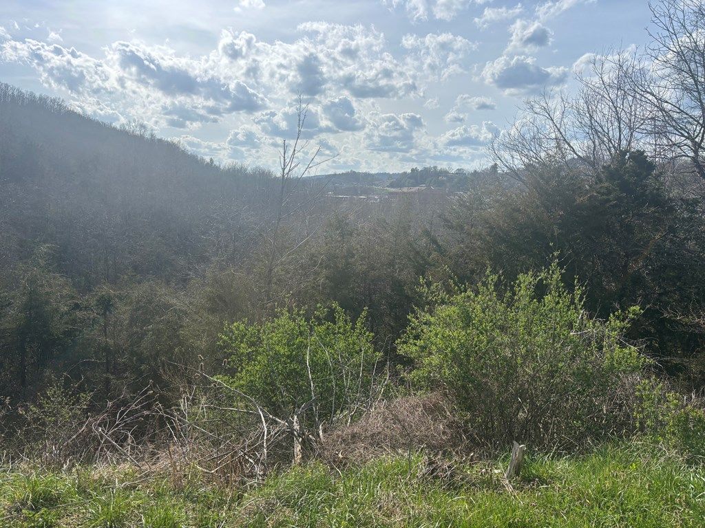 Photo of TBD Point Drive #41G, 42, Pounding Mill, VA 24637 (MLS # 109609)