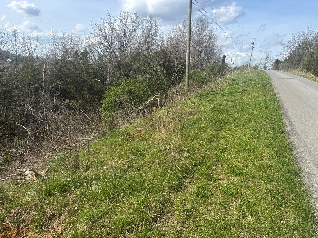 Photo of TBD Point Drive #41G, 42, Pounding Mill, VA 24637 (MLS # 109609)