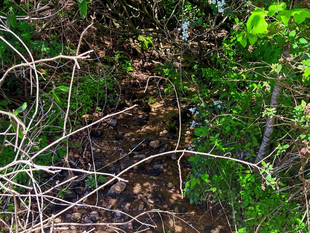 Photo of TBD Bent Rd #4413-1, Meadows of Dan, VA 24120 (MLS # 110240)