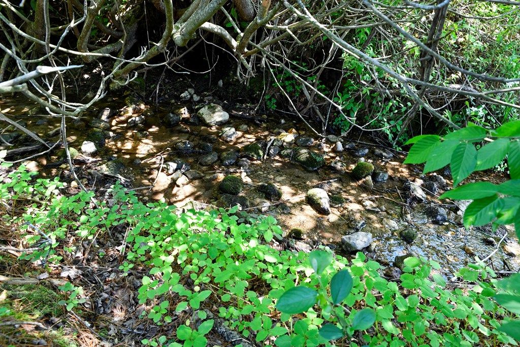 Photo of TBD Bent Rd #4413-1, Meadows of Dan, VA 24120 (MLS # 110240)