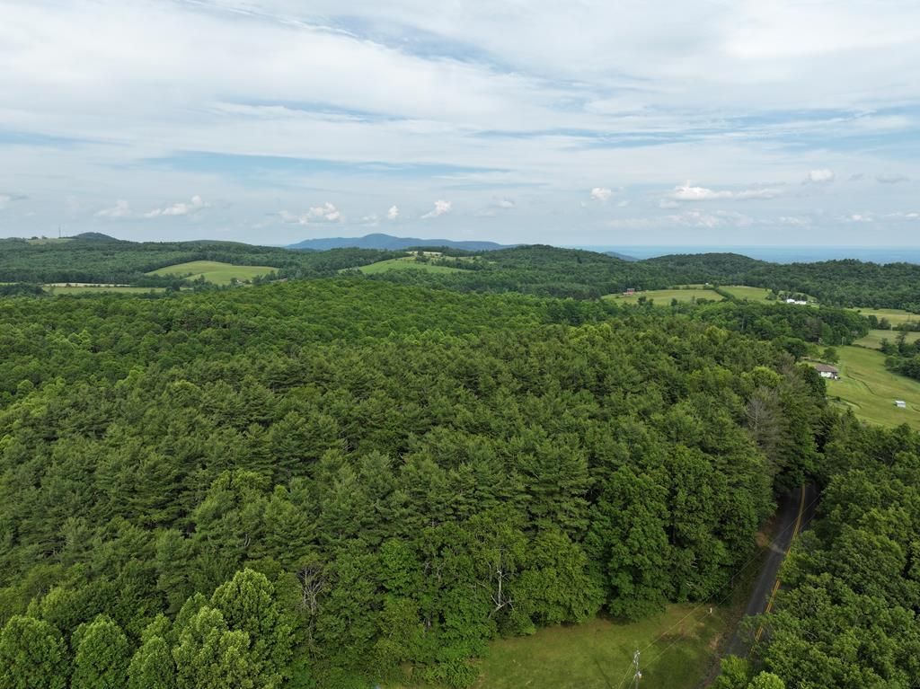 Photo of 0 Red Rough Road #20, Meadows of Dan, VA 24120 (MLS # 100153)