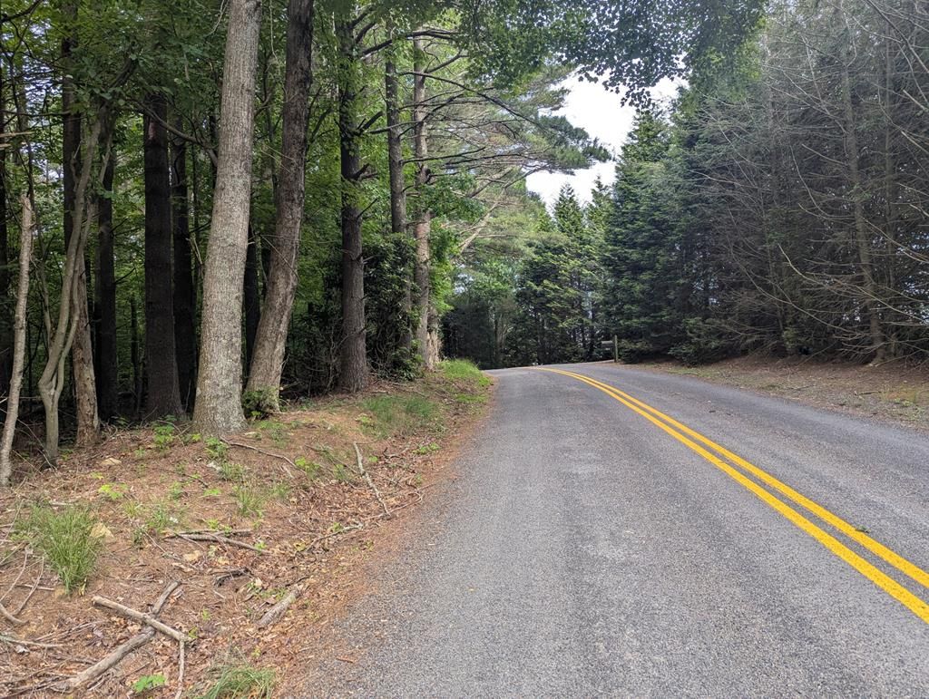Photo of 0 Red Rough Road #20, Meadows of Dan, VA 24120 (MLS # 100153)