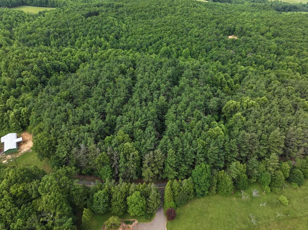 Photo of 0 Red Rough Road #20, Meadows of Dan, VA 24120 (MLS # 100153)
