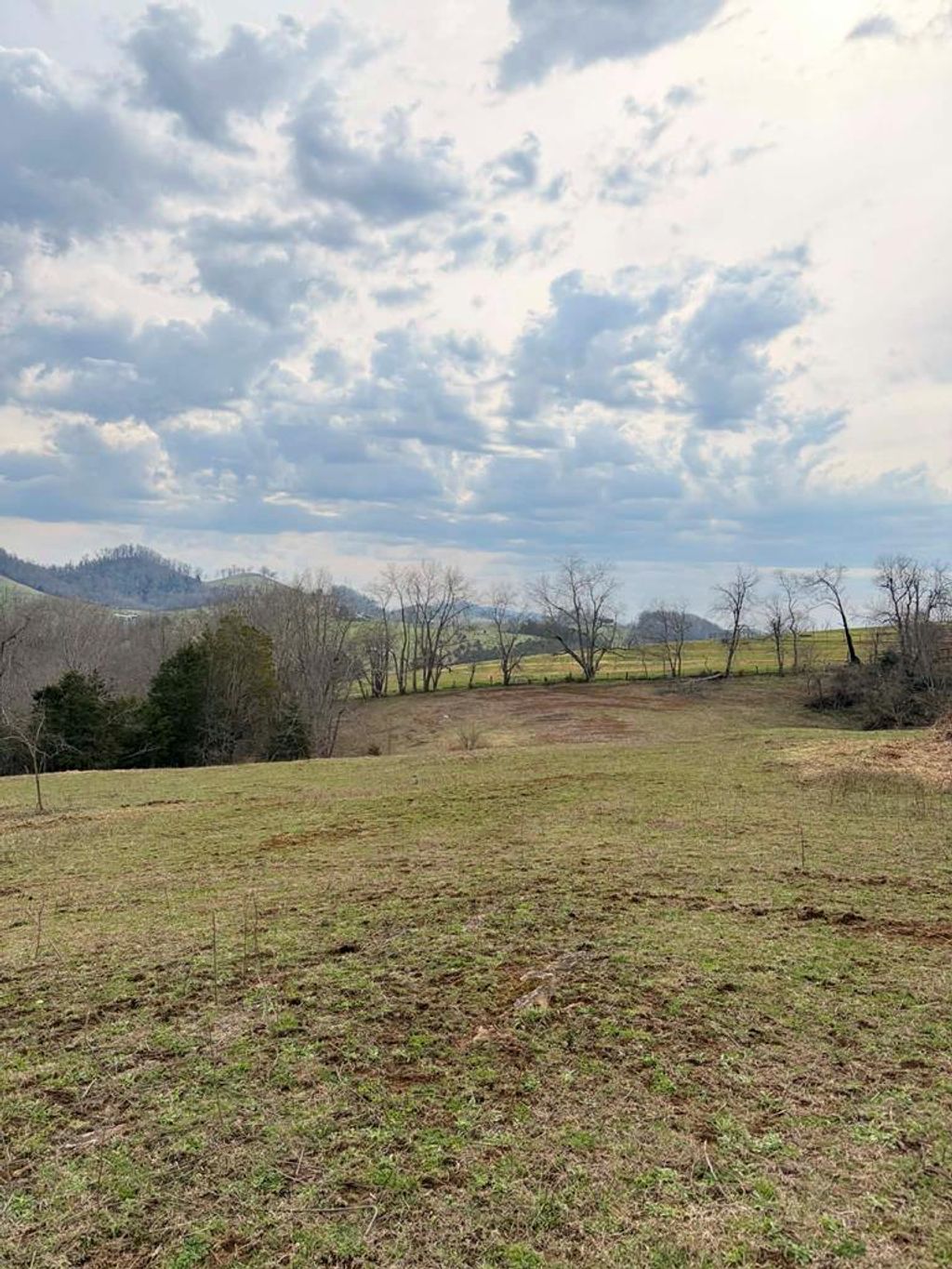 Photo of TBD Romans Ridge Road #N/A, Honaker, VA 24260 (MLS # 109550)