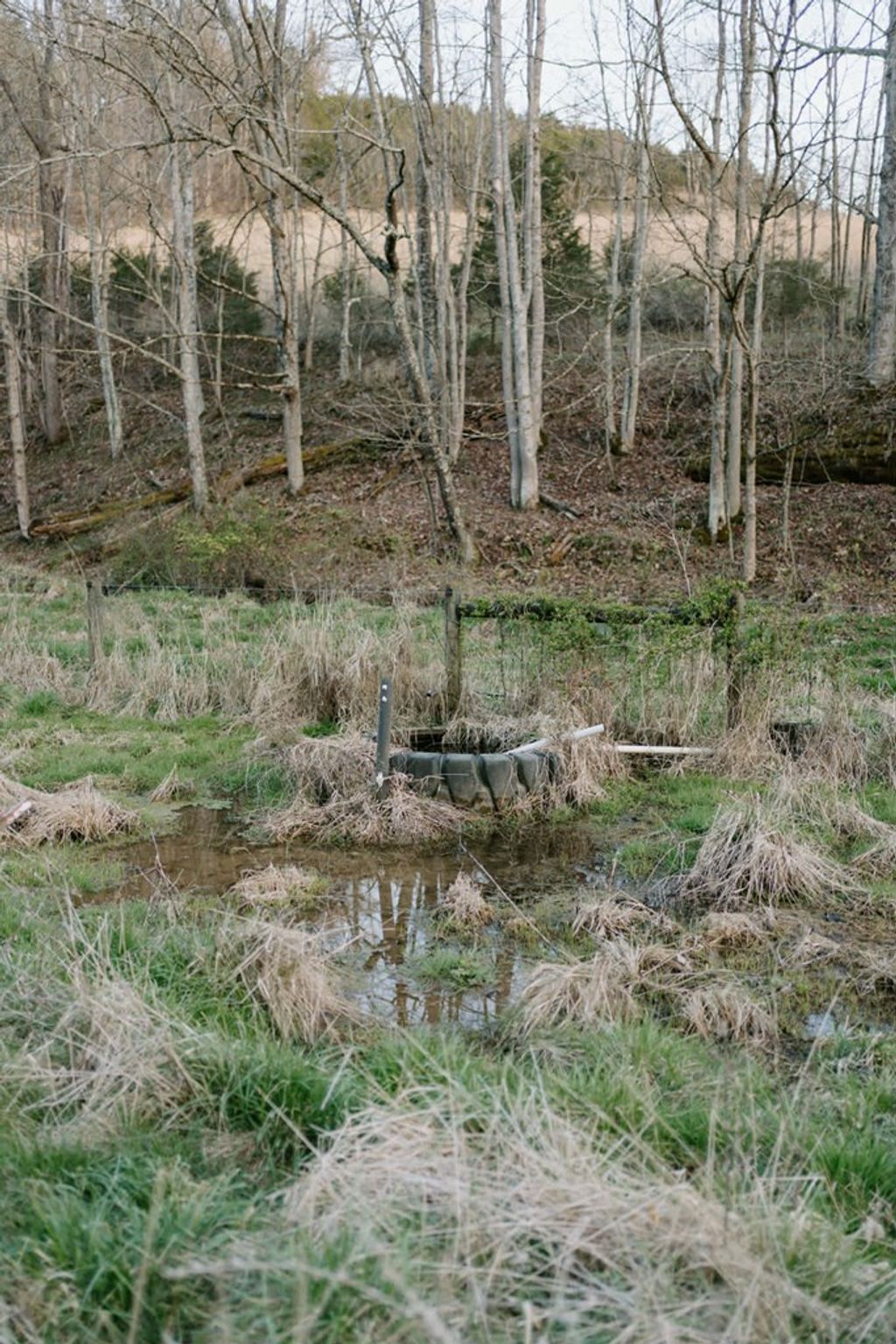 Photo of TBD Romans Ridge Road #N/A, Honaker, VA 24260 (MLS # 109550)