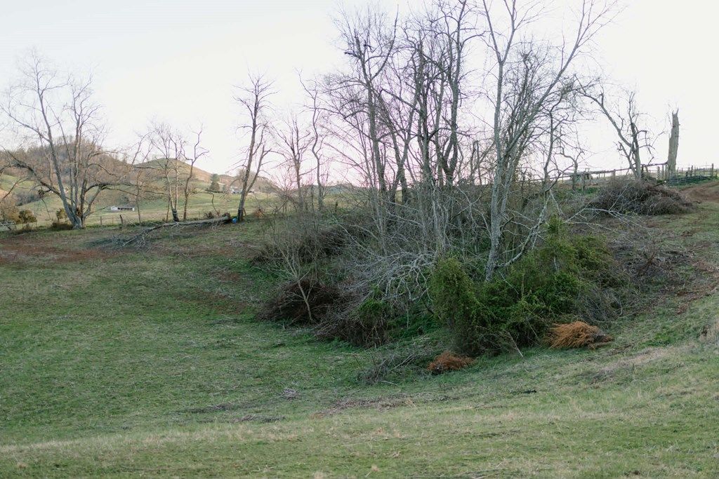 Photo of TBD Romans Ridge Road #N/A, Honaker, VA 24260 (MLS # 109550)