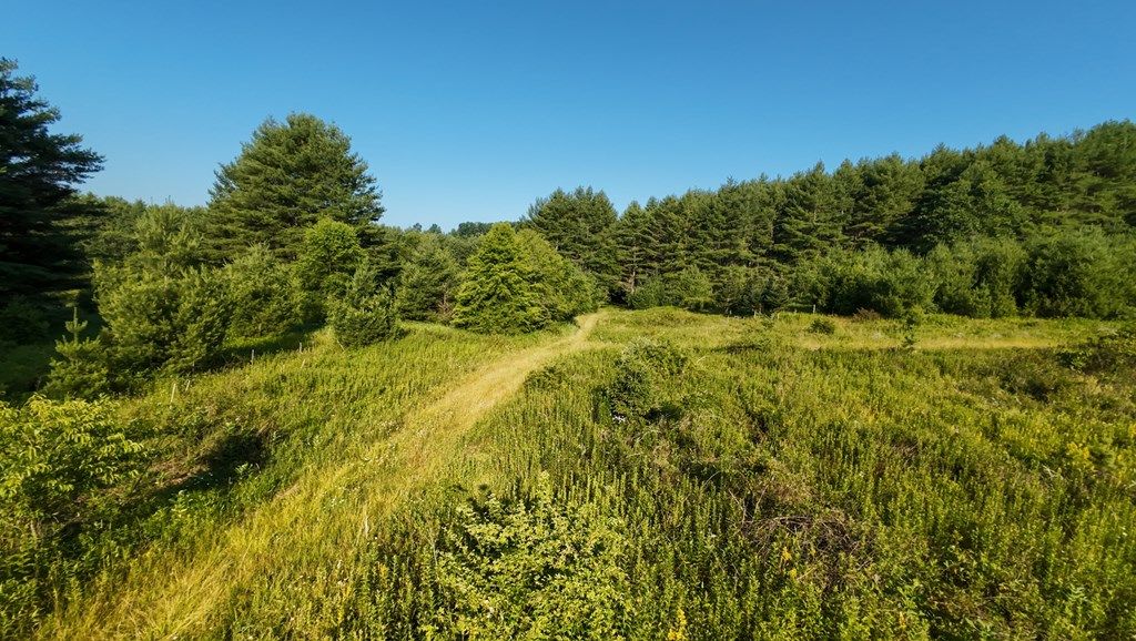 Photo of 2 Merifield RD NW #Tract 2, Willis, VA 24380 (MLS # 100403)