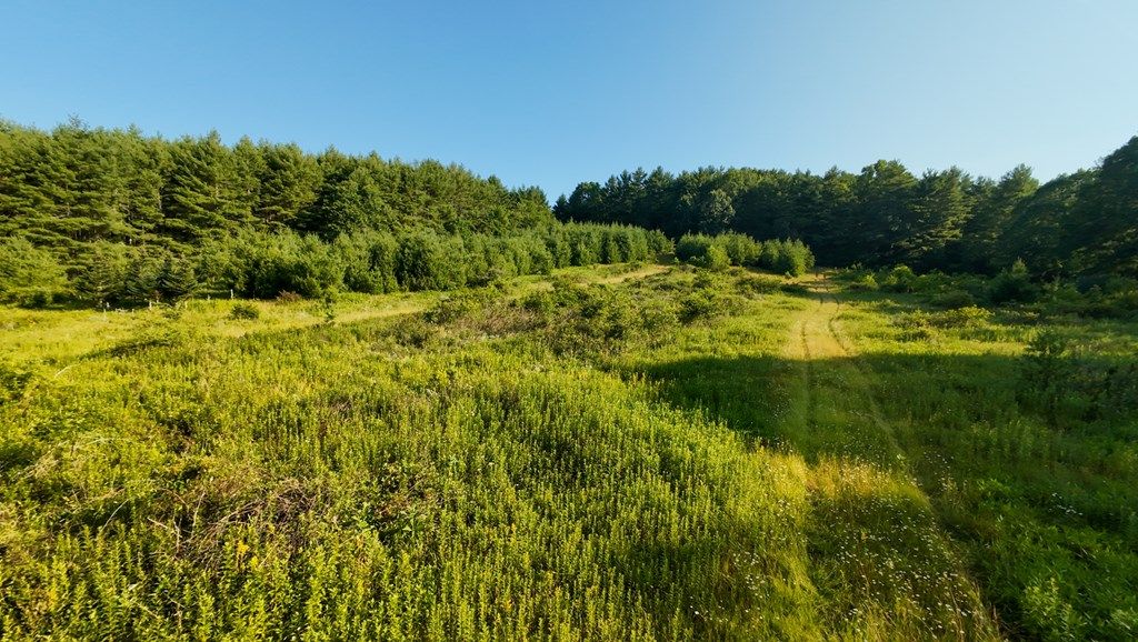 Photo of 2 Merifield RD NW #Tract 2, Willis, VA 24380 (MLS # 100403)