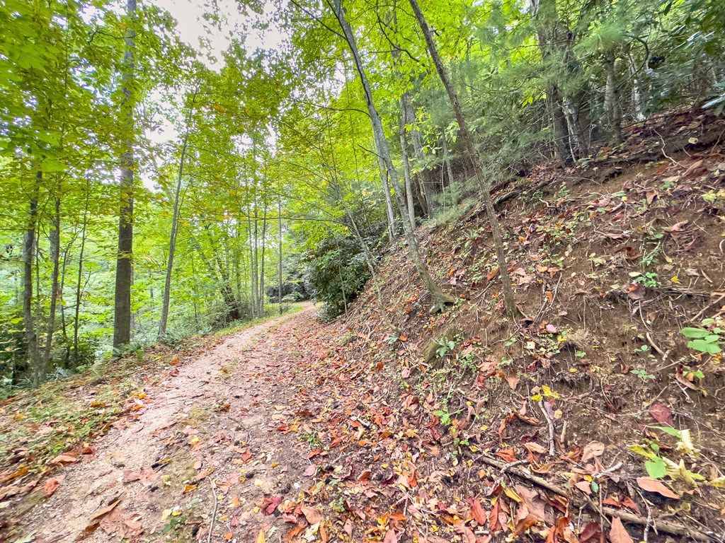 Photo of 262211 Covered Bridge Trl #262 &amp; 211, Fancy Gap, VA 24328 (MLS # 110139)