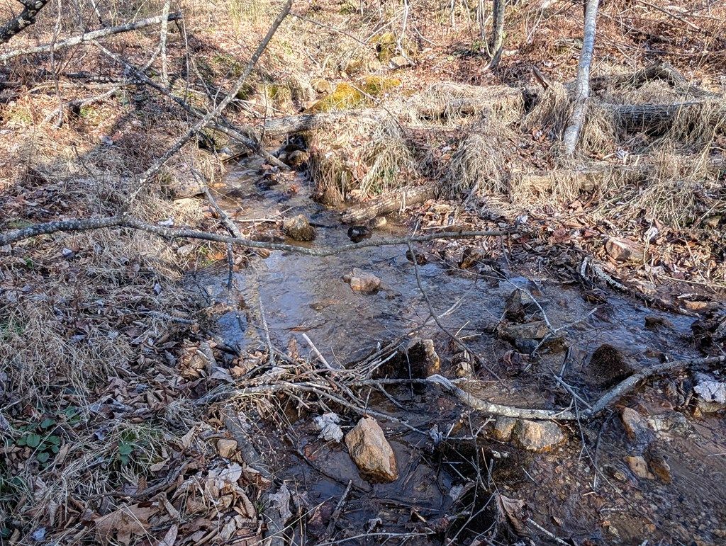 Photo of TBD Hunters Path #9, Fancy Gap, VA 24328 (MLS # 104648)