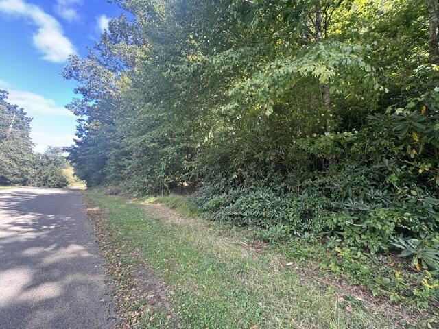 Photo of TBD Foggy Ridge Lane #NA, Fancy Gap, VA 24328 (MLS # 112104)