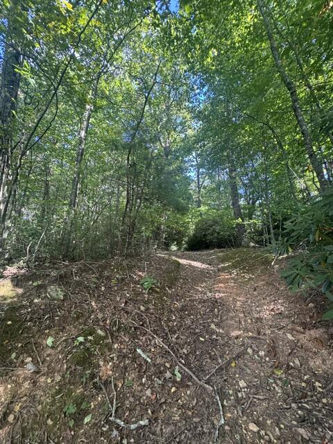 Photo of TBD Foggy Ridge Lane #NA, Fancy Gap, VA 24328 (MLS # 112104)