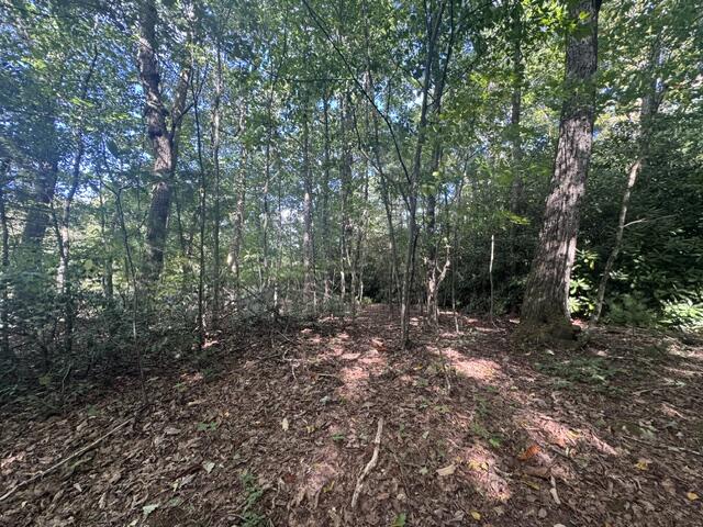Photo of TBD Foggy Ridge Lane #NA, Fancy Gap, VA 24328 (MLS # 112104)