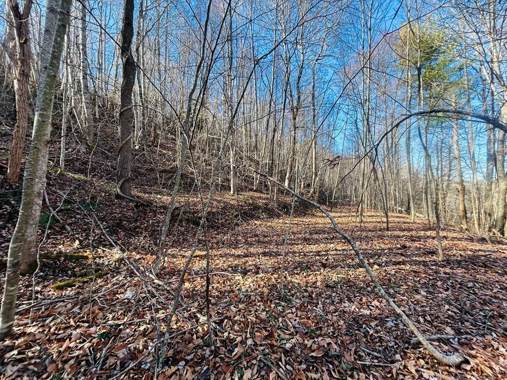 Photo of TBD Crestview Dr / N Main St #3, Hillsville, VA 24343 (MLS # 95830)