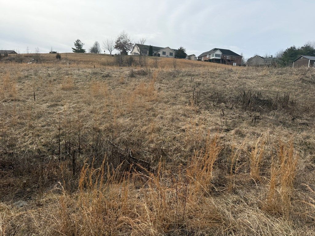 Photo of TBD Bridle Drive #3, Abingdon, VA 24210 (MLS # 105843)