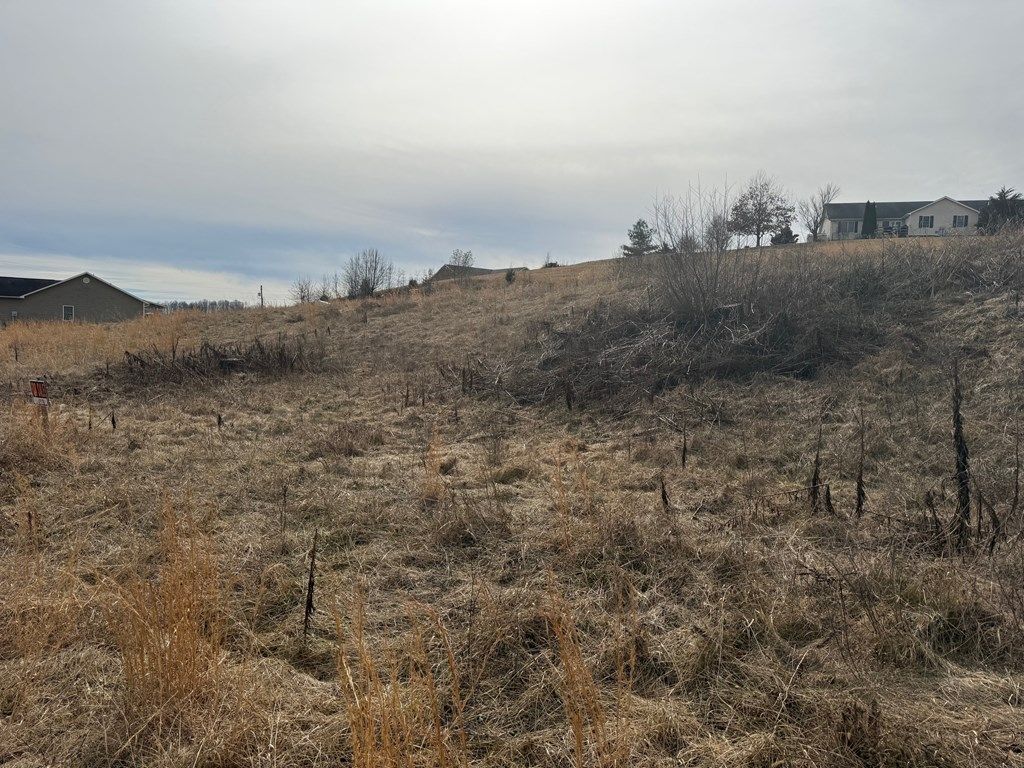 Photo of TBD Bridle Drive #3, Abingdon, VA 24210 (MLS # 105843)