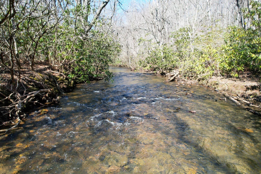 Photo of 311 Dan River Rd, Meadows of Dan, VA 24120 (MLS # 111973)