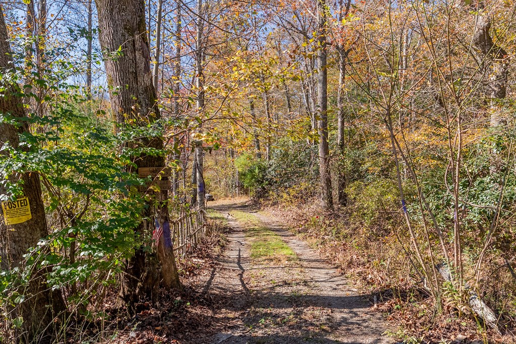 Fancy Gap, Virginia 24328, United States, ,Land,Pending,37408