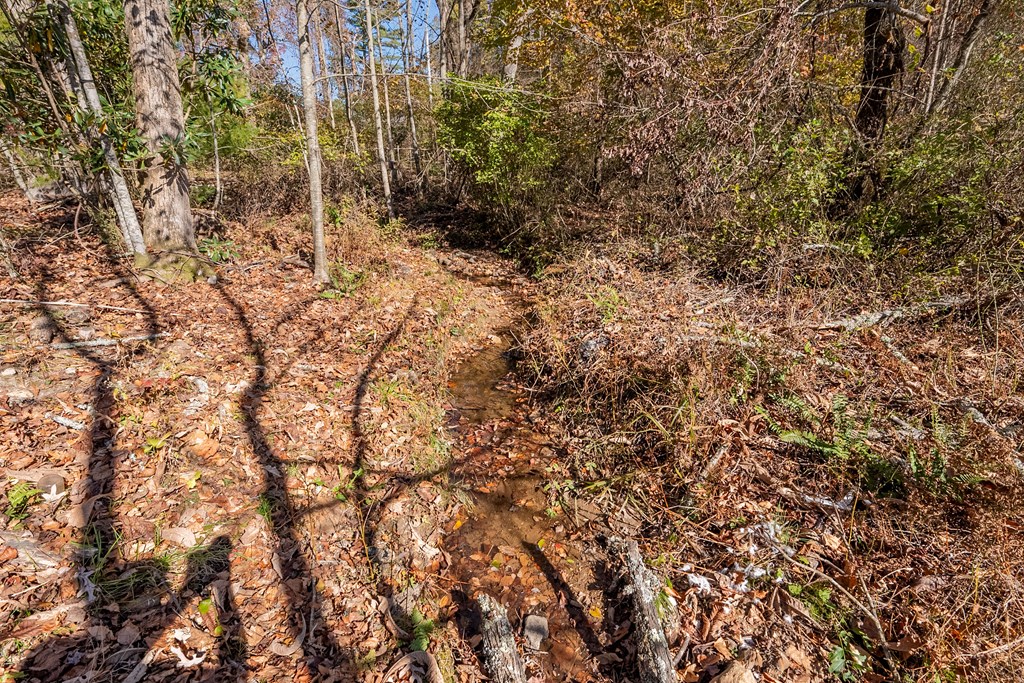 Fancy Gap, Virginia 24328, United States, ,Land,Pending,37408