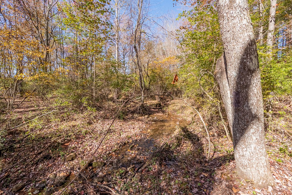 Fancy Gap, Virginia 24328, United States, ,Land,Pending,37408