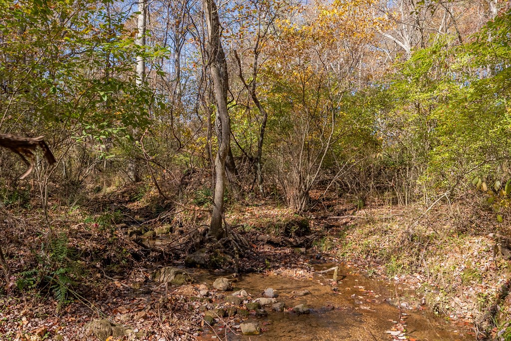 Fancy Gap, Virginia 24328, United States, ,Land,Pending,37408