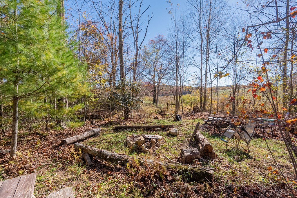 Fancy Gap, Virginia 24328, United States, ,Land,Pending,37408