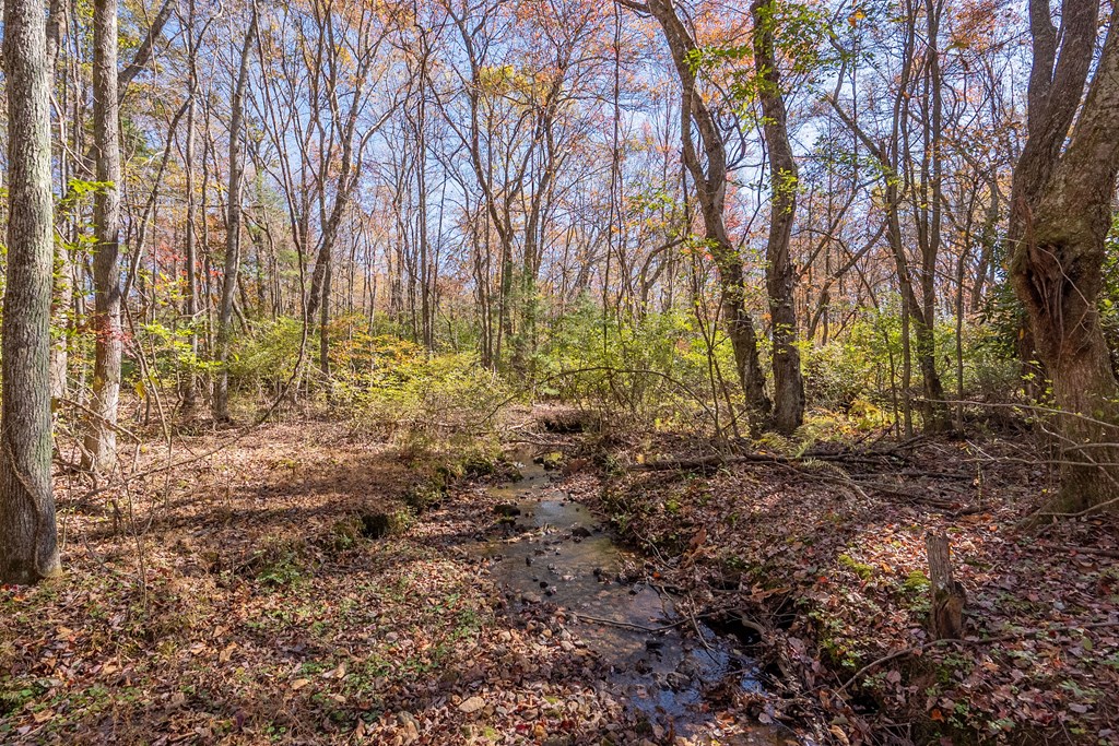 Fancy Gap, Virginia 24328, United States, ,Land,Pending,37408