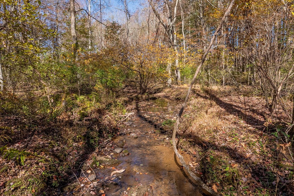 Fancy Gap, Virginia 24328, United States, ,Land,Pending,37408