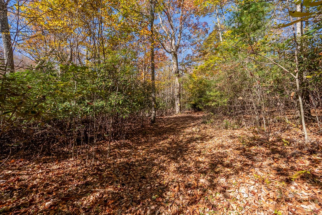 Fancy Gap, Virginia 24328, United States, ,Land,Pending,37408