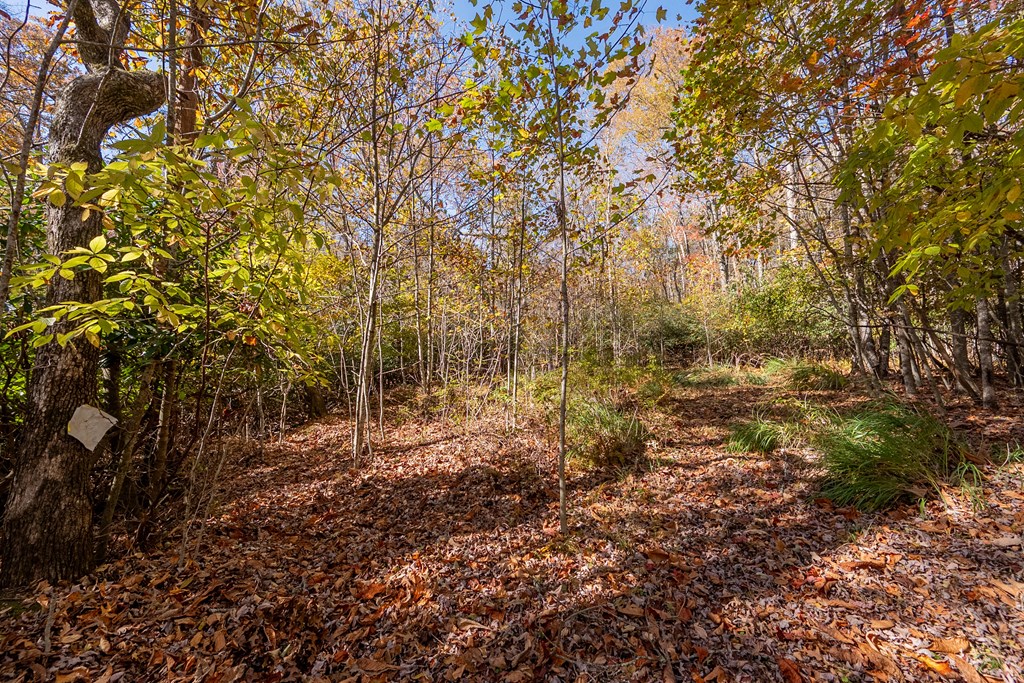 Fancy Gap, Virginia 24328, United States, ,Land,Pending,37408