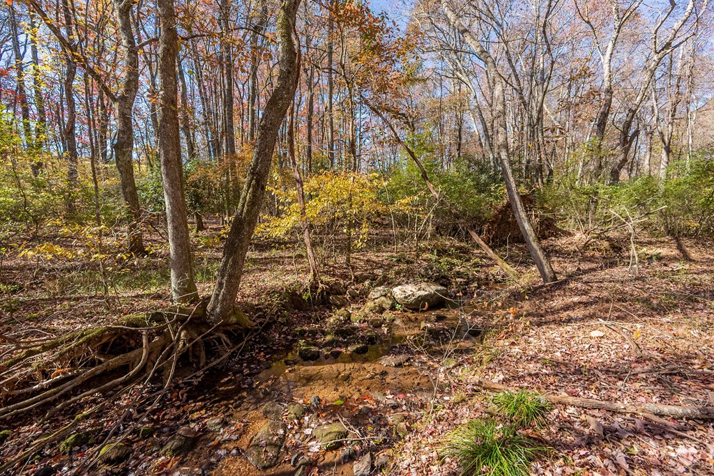 Fancy Gap, Virginia 24328, United States, ,Land,Pending,37408