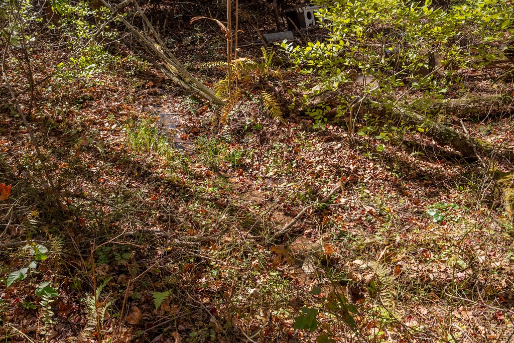 Fancy Gap, Virginia 24328, United States, ,Land,Pending,37408