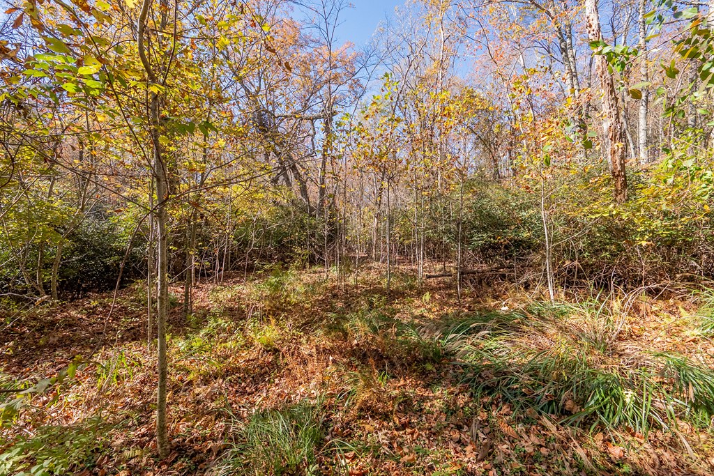 Fancy Gap, Virginia 24328, United States, ,Land,Pending,37408