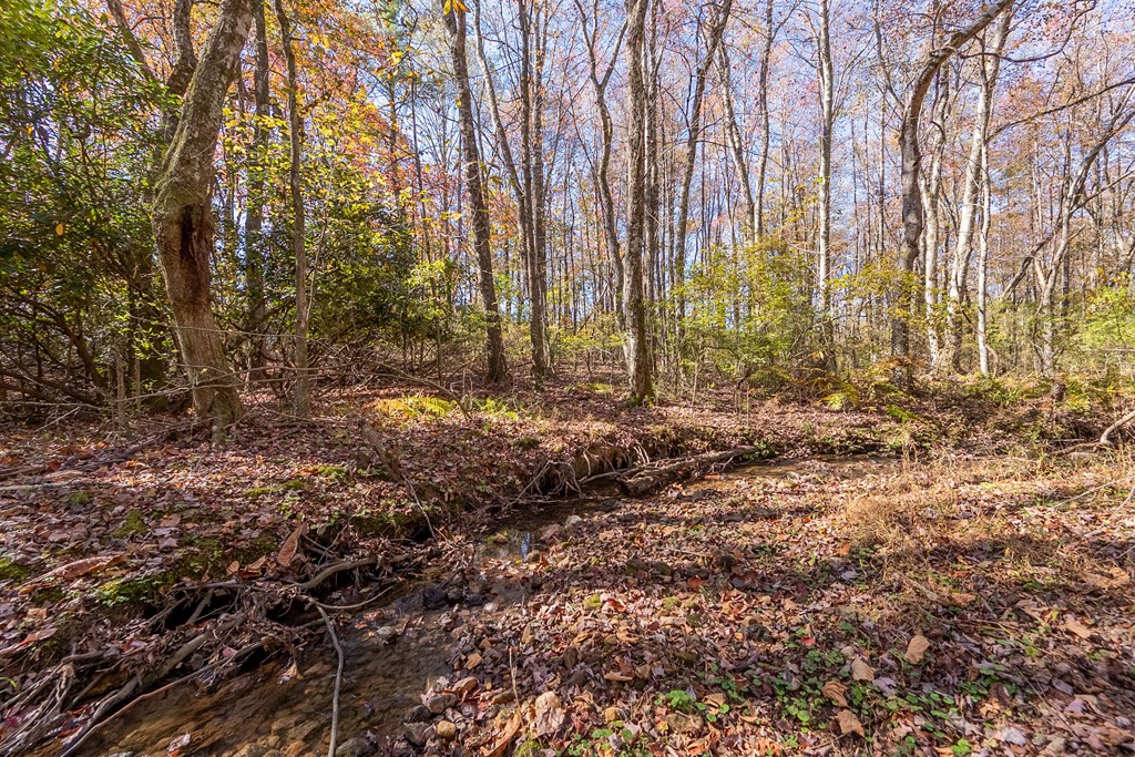 Fancy Gap, Virginia 24328, United States, ,Land,Pending,37408