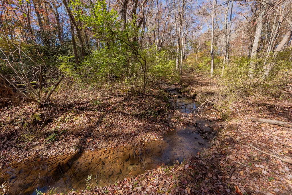 Fancy Gap, Virginia 24328, United States, ,Land,Pending,37408