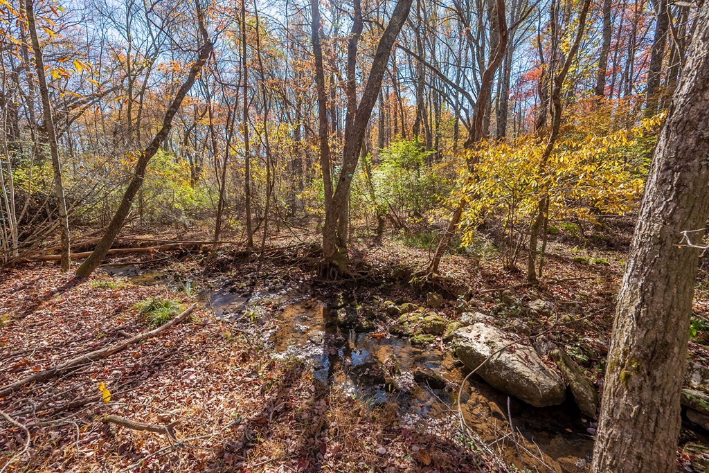 Fancy Gap, Virginia 24328, United States, ,Land,Pending,37408