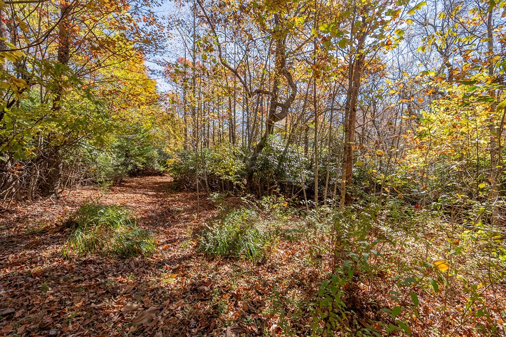 Fancy Gap, Virginia 24328, United States, ,Land,Pending,37408