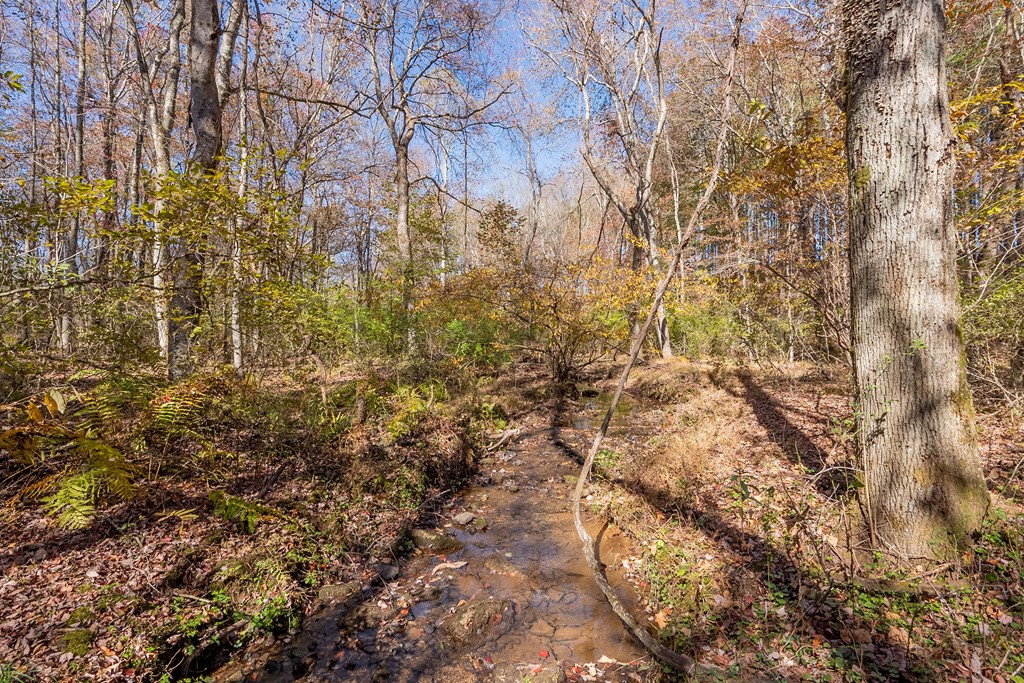 Fancy Gap, Virginia 24328, United States, ,Land,Pending,37408