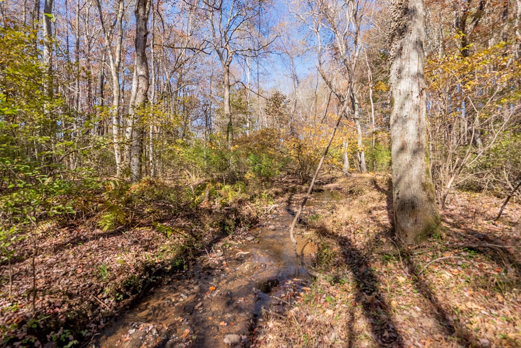 Fancy Gap, Virginia 24328, United States, ,Land,Pending,37408