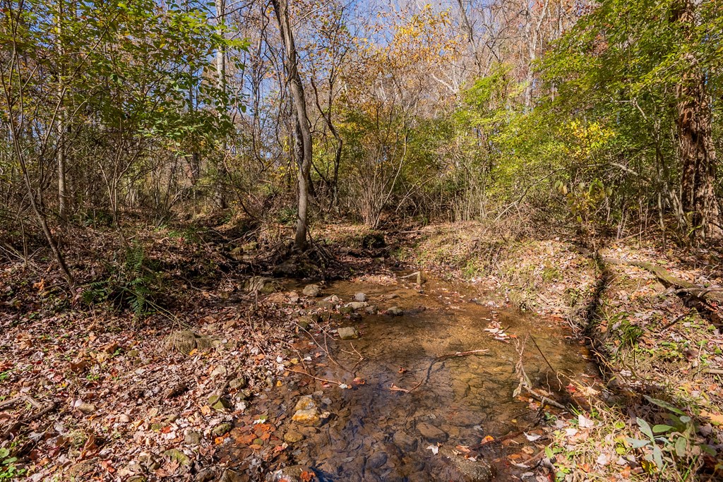 Fancy Gap, Virginia 24328, United States, ,Land,Pending,37408