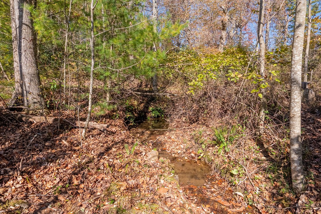 Fancy Gap, Virginia 24328, United States, ,Land,Pending,37408