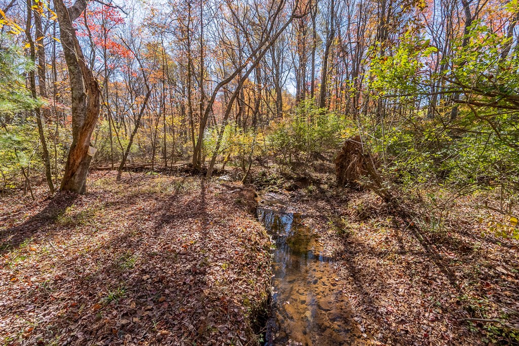 Fancy Gap, Virginia 24328, United States, ,Land,Pending,37408