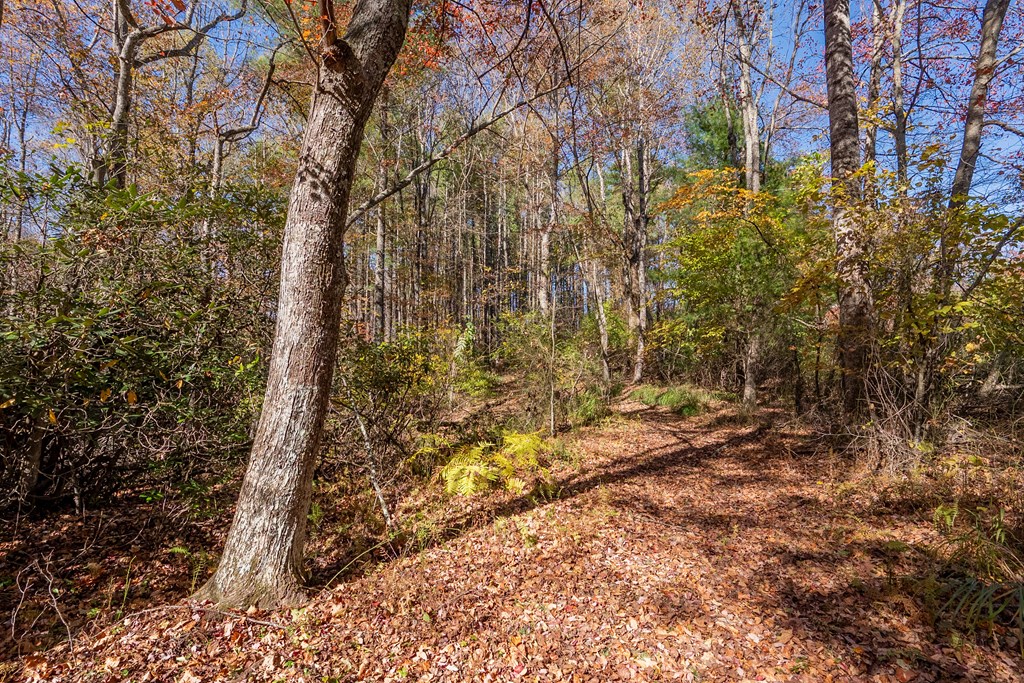 Fancy Gap, Virginia 24328, United States, ,Land,Pending,37408